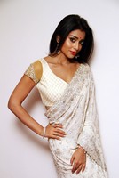 Shriya Saree Photos